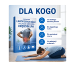 Poradnik łagodzenia bólu dolnego odcinka kręgosłupa - PDF